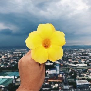 Meet your Posher, Amry